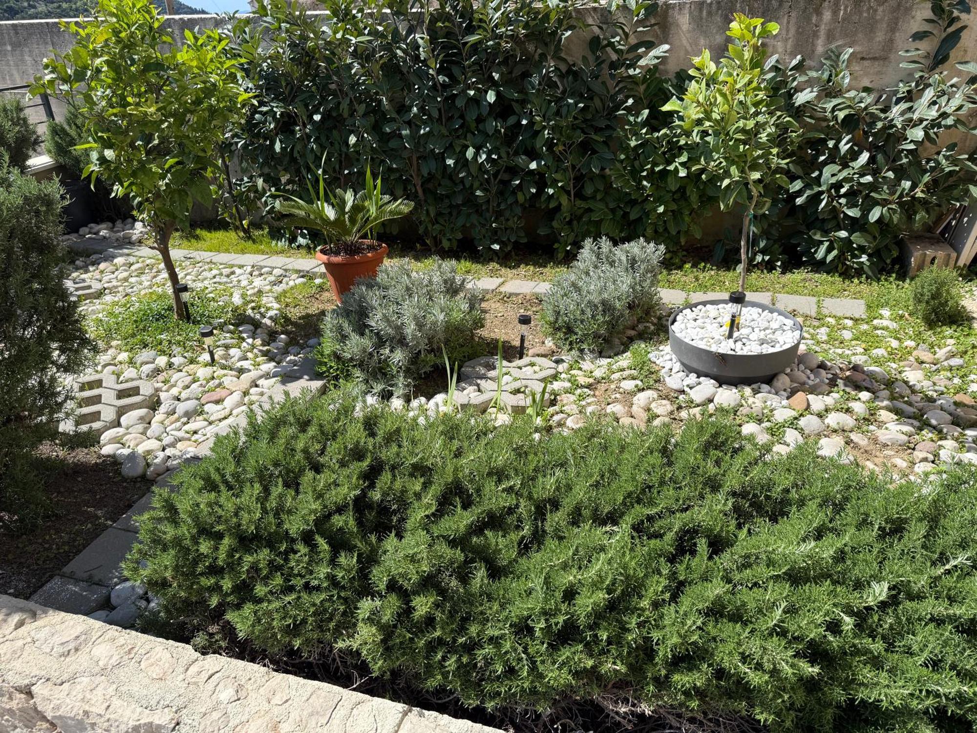 Lemon Tree Dubrovnik Apartments Екстер'єр фото